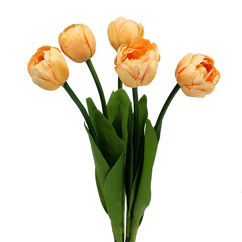 Bukiet tulipanów morelowych 43cm