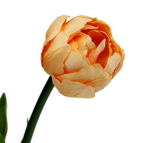 Floristik24 Bukiet tulipanów morelowych 43cm