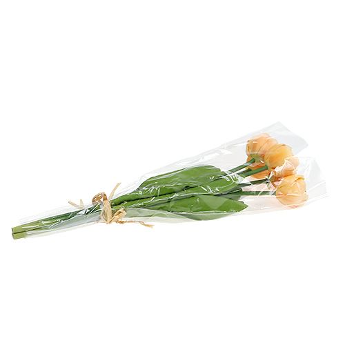 Floristik24 Bukiet tulipanów morelowych 43cm