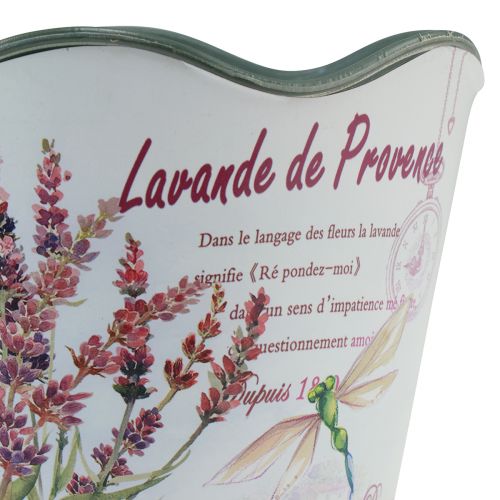 Produkt Plastikowa doniczka na lawendę Ø13,5 cm W12 cm