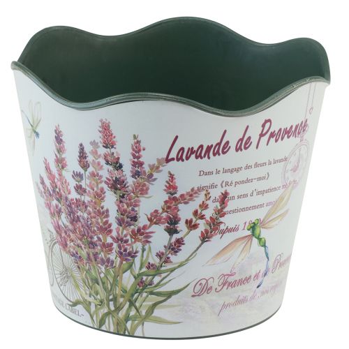 Produkt Plastikowa doniczka na lawendę Ø13,5 cm W12 cm