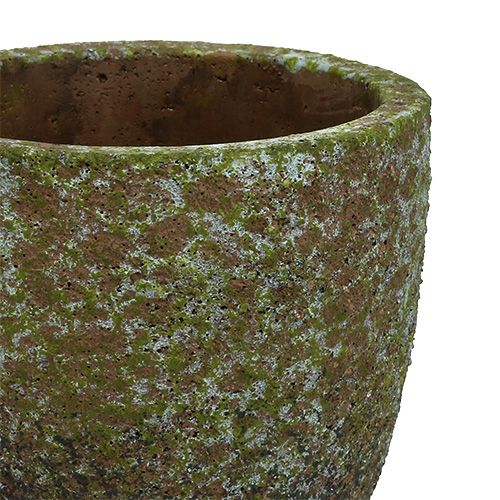 Floristik24 Doniczka szara omszona, zielona Ø14cm H14cm 2szt.