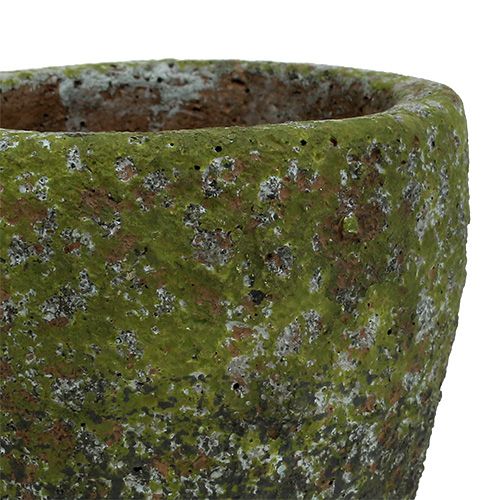 Floristik24 Doniczka z mchem Ø10cm H10,5cm 4szt.