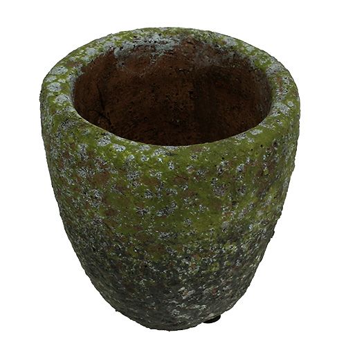 Floristik24 Doniczka z mchem Ø10cm H10,5cm 4szt.