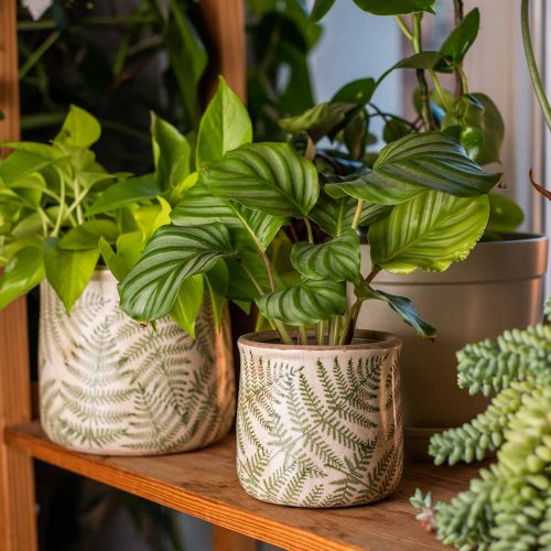 Floristik24 Doniczka ceramika paprociowa doniczka ceramiczna Ø15/10,5cm zestaw 2 szt