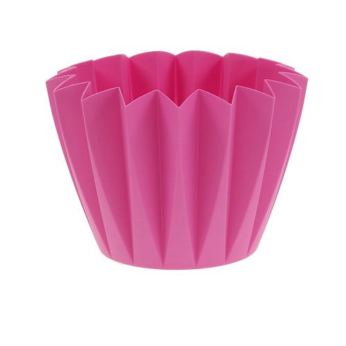 Floristik24 Doniczka Adonis Azalia 14cm 20 szt