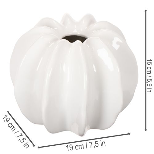 Wazon dekoracyjny w kształcie dyni, błyszczący, jesienna dekoracja do salonu, 19 cm | Floristik24.pl