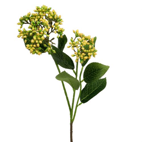 Floristik24 Viburnum gałązka jagodowa 54cm żółta 4szt.