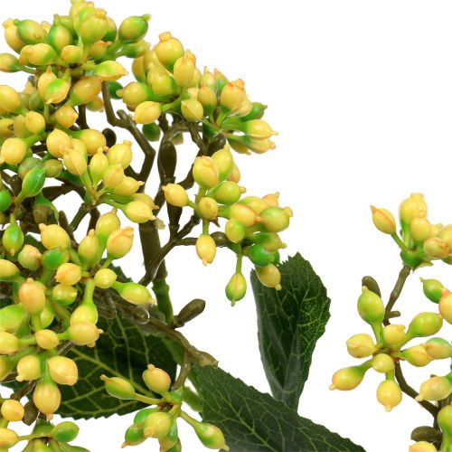 Floristik24 Viburnum gałązka jagodowa 54cm żółta 4szt.