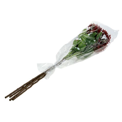 Floristik24 Berry Branch Red Viburnum Berries 54cm 4szt.