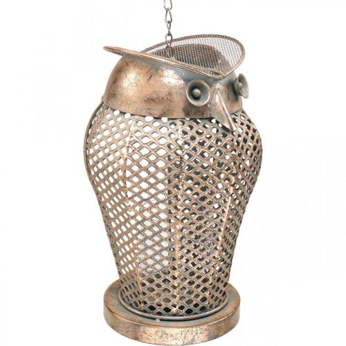 Produkt Vintage latarnia sowa latarnia ogrodowa świecznik na tealighty złoty wys. 29 cm