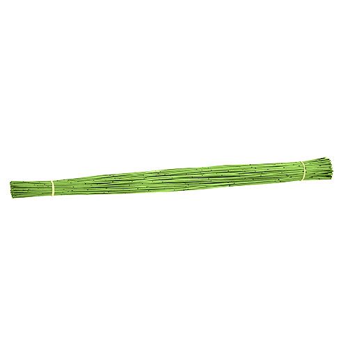 Floristik24 Trzcina Vlei 400g Jasnozielona