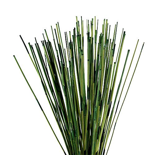 Floristik24 Vlei Reed 400g Dark Green