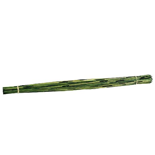Floristik24 Vlei Reed 400g Dark Green