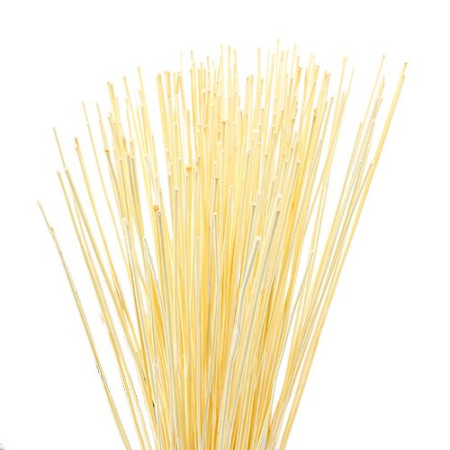 Floristik24 Vlei Reed 400g bielony