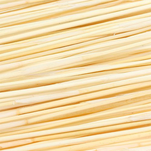 Floristik24 Vlei Reed 400g bielony