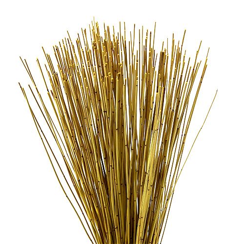 Floristik24 Vlei Reed 400g Żółty