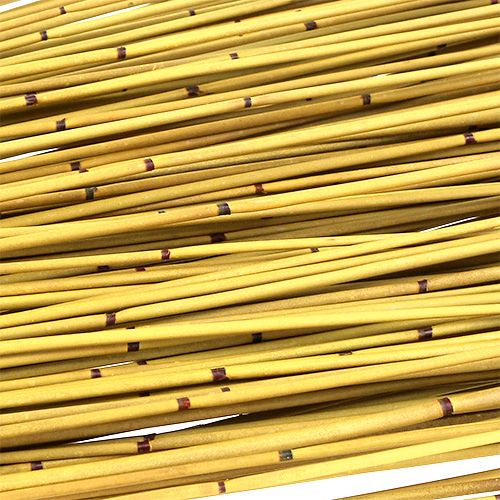 Floristik24 Vlei Reed 400g Żółty