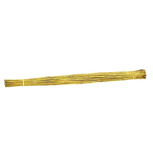 Floristik24 Vlei Reed 400g Żółty