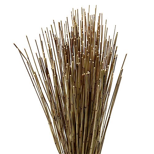 Floristik24 Vlei Reed 400g Nature