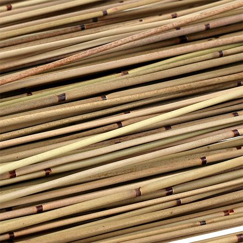Floristik24 Vlei Reed 400g Nature