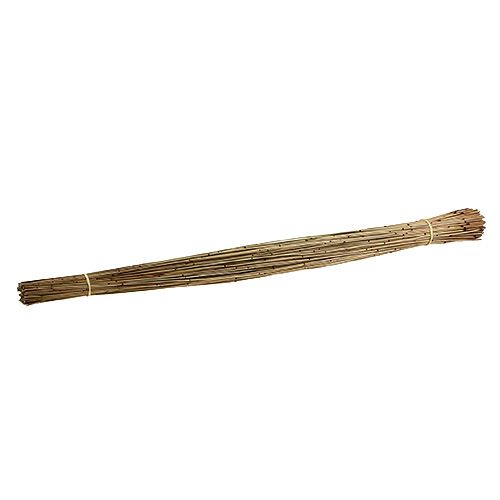 Floristik24 Vlei Reed 400g Nature