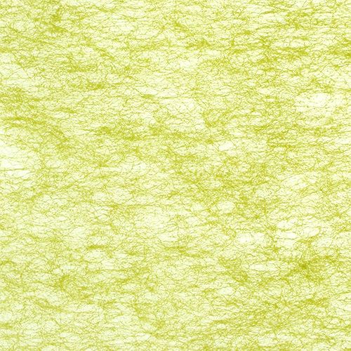 Floristik24 Polar oliwkowy 23cm 25m