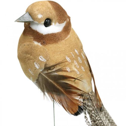 Floristik24 Wiosna, ptaszek na drucie, ptaszki dekoracyjne w naturalnych kolorach wys.7,5 cm 12szt