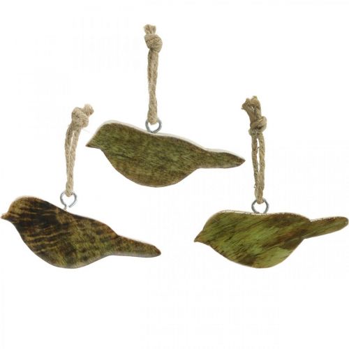 Floristik24 Ptaszki do zawieszenia, dekoracja wiosenna, wieszak drewniany naturalny, zielony W4cm 6 szt
