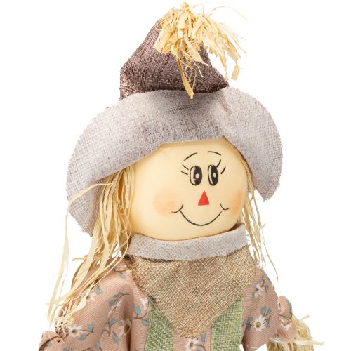 Produkt Strach na wróble na patyku wtyczka zielono niebieska wys. 45/68cm 4 szt.