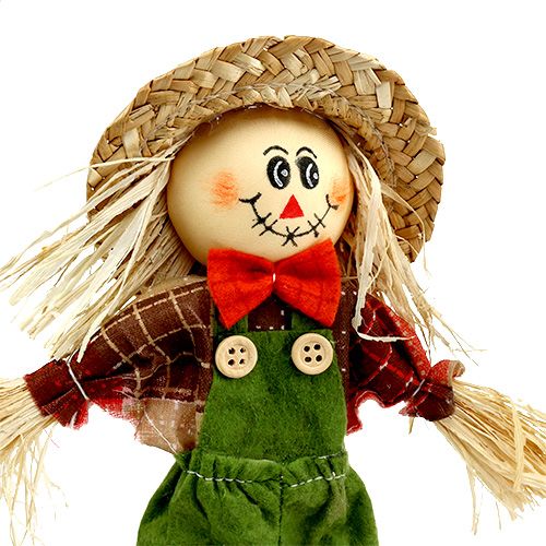 Floristik24 Strach dekoracyjny 26cm różne kolory. L51cm 8szt.