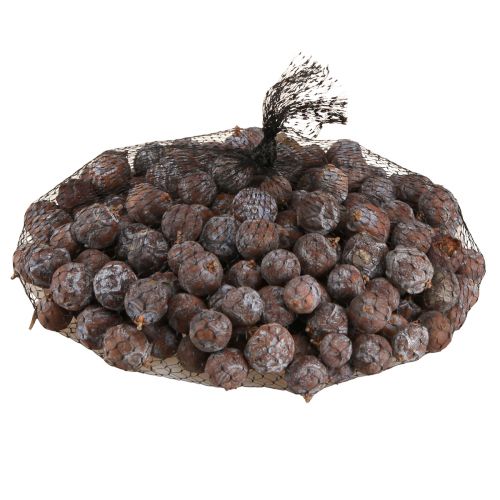 Floristik24 Szyszki jałowca Jałowiec syryjski naturalny Ø1,5–2,5cm 1kg