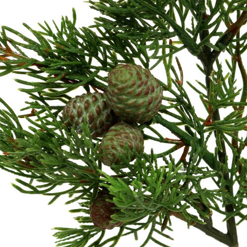Floristik24 Gałązka jałowca z szyszką zielona 39cm 3szt.