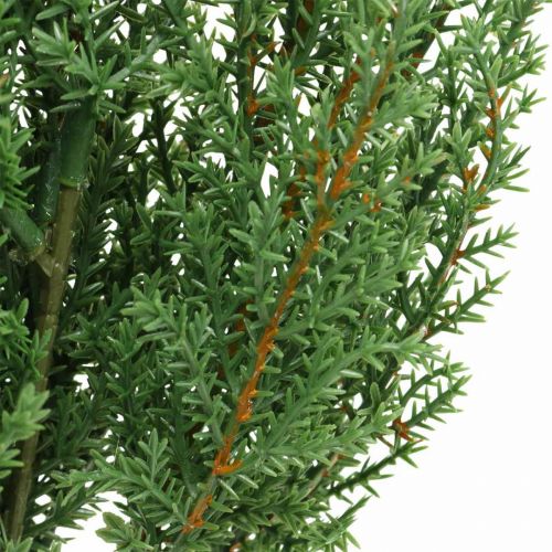 Floristik24 Jałowiec Gałązka Sztuczna Zielona Gałązka Dekoracyjna Świąteczna 39cm 6szt
