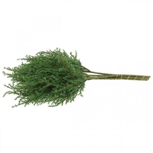 Floristik24 Jałowiec Gałązka Sztuczna Zielona Gałązka Dekoracyjna Świąteczna 39cm 6szt