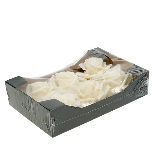 Floristik24 Róża woskowa Ø10cm Kremowa 6szt