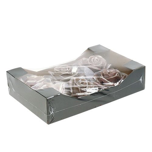 Floristik24 Wosk różany szampański mix Ø10cm 6 szt