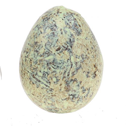 Floristik24 Asortyment jaj przepiórczych zielony naturalny 3cm 62szt