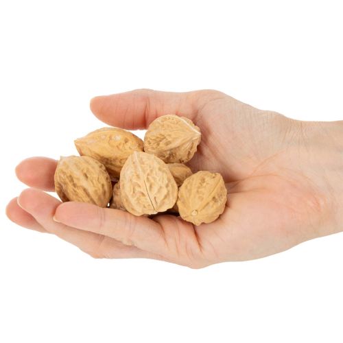 Orzechy włoskie do dekoracji, produkt naturalny, 3-4 cm, 300 g | Floristik24.pl