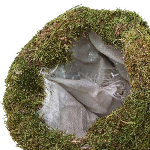 Produkt Ozdoba choinkowa z mchu w kolorze zielonym naturalnym Ø25cm W70cm