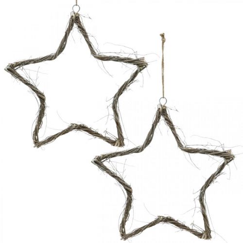 Produkt Dekoracja świąteczna dekoracja okienna gwiazda myty biały wiąz Ø40cm 2szt