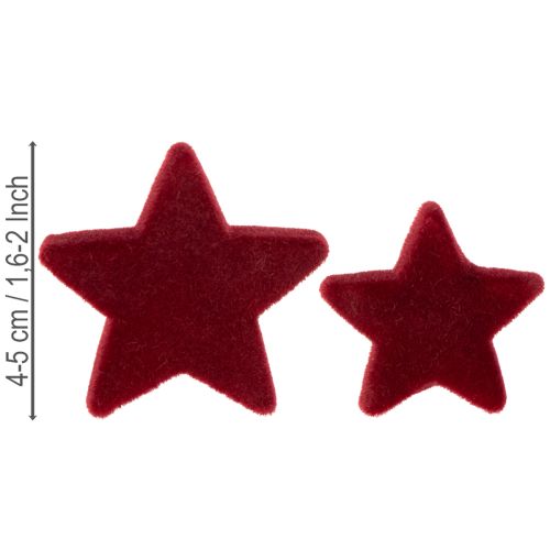 Ozdoby świąteczne, gwiazdki, Bordeaux flokowane, dekoracja stołu, 4-5cm, 40 sztuk | Floristik24.pl