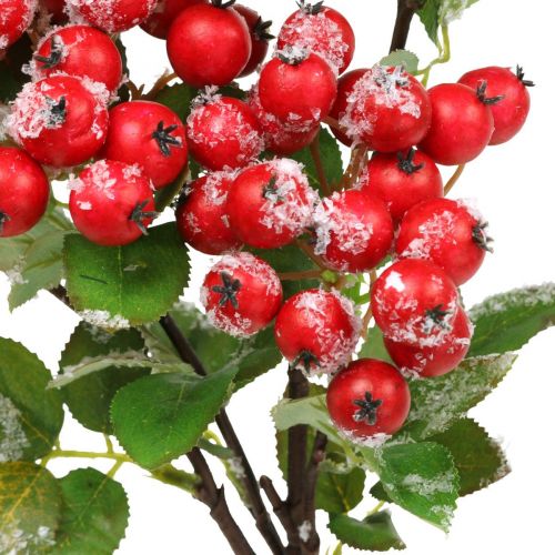 Floristik24 Świąteczne gałązki z czerwonymi jagodami, dekoracja zimowa, czerwień harpberry naśnieżana L58cm