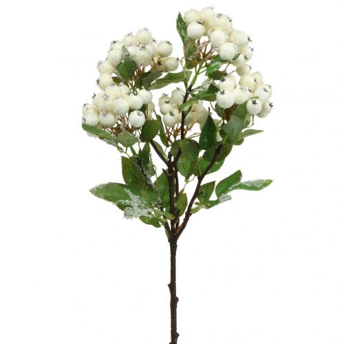 Gałązki bożonarodzeniowe, snowberry, sztuczna roślina ośnieżona dł. 58 cm