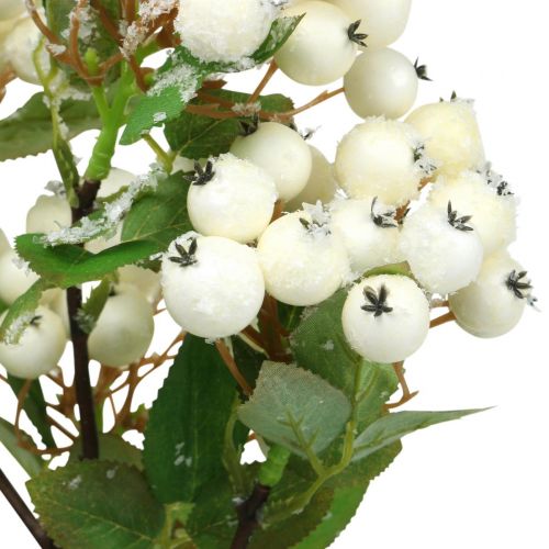 Produkt Gałązki bożonarodzeniowe, snowberry, sztuczna roślina ośnieżona dł. 58 cm