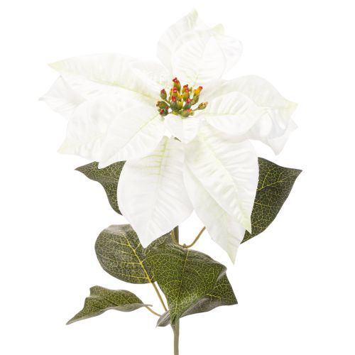 Sztuczna biała gwiazda betlejemska, dekoracja z dużych kwitnących gałązek, 65 cm, 2 sztuki