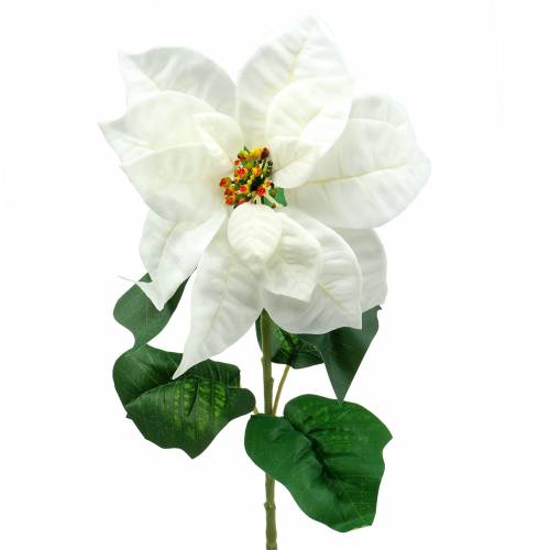 Floristik24 Poinsecja Sztuczny Kwiat Biały 67cm