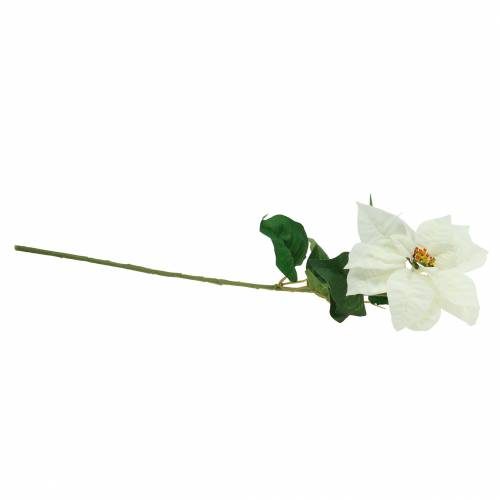 Floristik24 Poinsecja Sztuczny Kwiat Biały 67cm