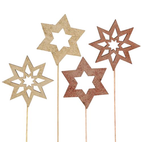 Floristik24 Korki kwiatowe poinsecji brąz złote Ø5,5cm 18 szt