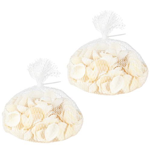 Floristik24 Muszle Białe Ozdobne Małże 2-3,5 cm 300g × 2szt